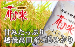 花の米,新潟県産コシヒカリ,新潟越後米こしひかり,コシヒカリ,上越産こしひかり,旨い米,上越,旨いもち,こがねもち,おいしいお餅,越後かに米こしひかり,