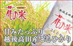 花の米,新潟県産コシヒカリ,新潟越後米こしひかり,コシヒカリ,上越産こしひかり,旨い米,上越,旨いもち,こがねもち,おいしいお餅,越後かに米こしひかり,