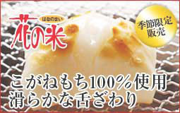 花の米,新潟県産コシヒカリ,新潟越後米こしひかり,コシヒカリ,上越産こしひかり,旨い米,上越,旨いもち,こがねもち,おいしいお餅,越後かに米こしひかり,