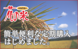 花の米,新潟県産コシヒカリ,新潟越後米こしひかり,コシヒカリ,上越産こしひかり,旨い米,上越,旨いもち,こがねもち,おいしいお餅,越後かに米こしひかり,