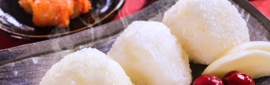 日本で一番おいしいおむすびを食べる会2013春花の米コシヒカリ