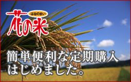 花の米,新潟県産コシヒカリ,新潟越後米こしひかり,コシヒカリ,上越産こしひかり,旨い米,上越,旨いもち,こがねもち,おいしいお餅,越後かに米こしひかり,