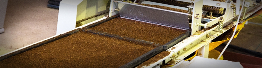 花の米コシヒカリ筋まき