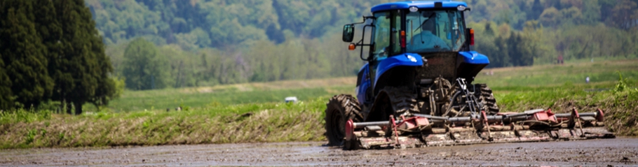 花の米コシヒカリ代掻き