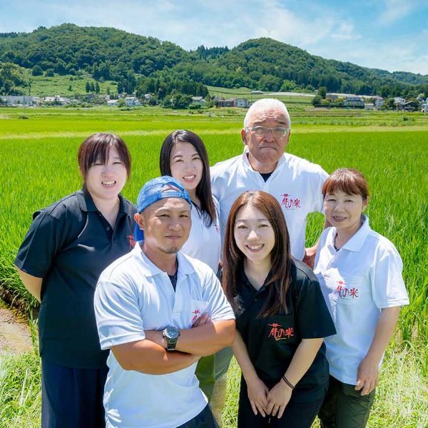 新潟県上越市の農業法人花の米　おいしい新潟米こしひかり　おいしいお米　おいしいこしひかりを農業女子たちがおいしいお米を作っています