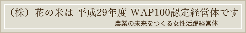 新潟県上越市の農業法人花の米　おいしい新潟米こしひかり　おいしいお米　おいしいこしひかりを農業女子たちがおいしいお米を作っています　WAP100認定企業