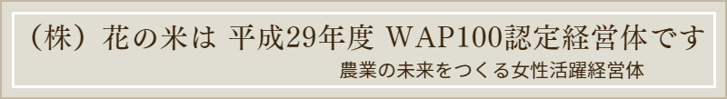 新潟県上越市の農業法人花の米 おいしい新潟米こしひかり おいしいお米 おいしいこしひかりを農業女子たちがおいしいお米を作っています WAP100認定企業