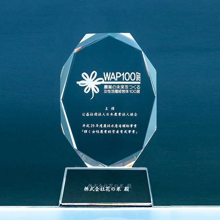 新潟県上越市の農業法人花の米 おいしい新潟米こしひかり おいしいお米 おいしいこしひかりを農業女子たちがおいしいお米を作っています