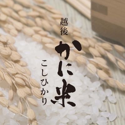 新潟県上越市の農業法人花の米　おいしい新潟米こしひかり　おいしいお米　おいしいこしひかりを農業女子たちがおいしいお米を作っています