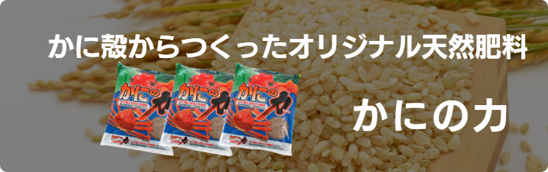 新潟県上越市の農業法人花の米　おいしい新潟米こしひかり　おいしいお米　おいしいこしひかりを農業女子たちがおいしいお米を作っています　かに殻でつくってオリジナル肥料